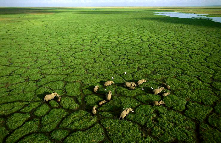 Africa Aerial Survey