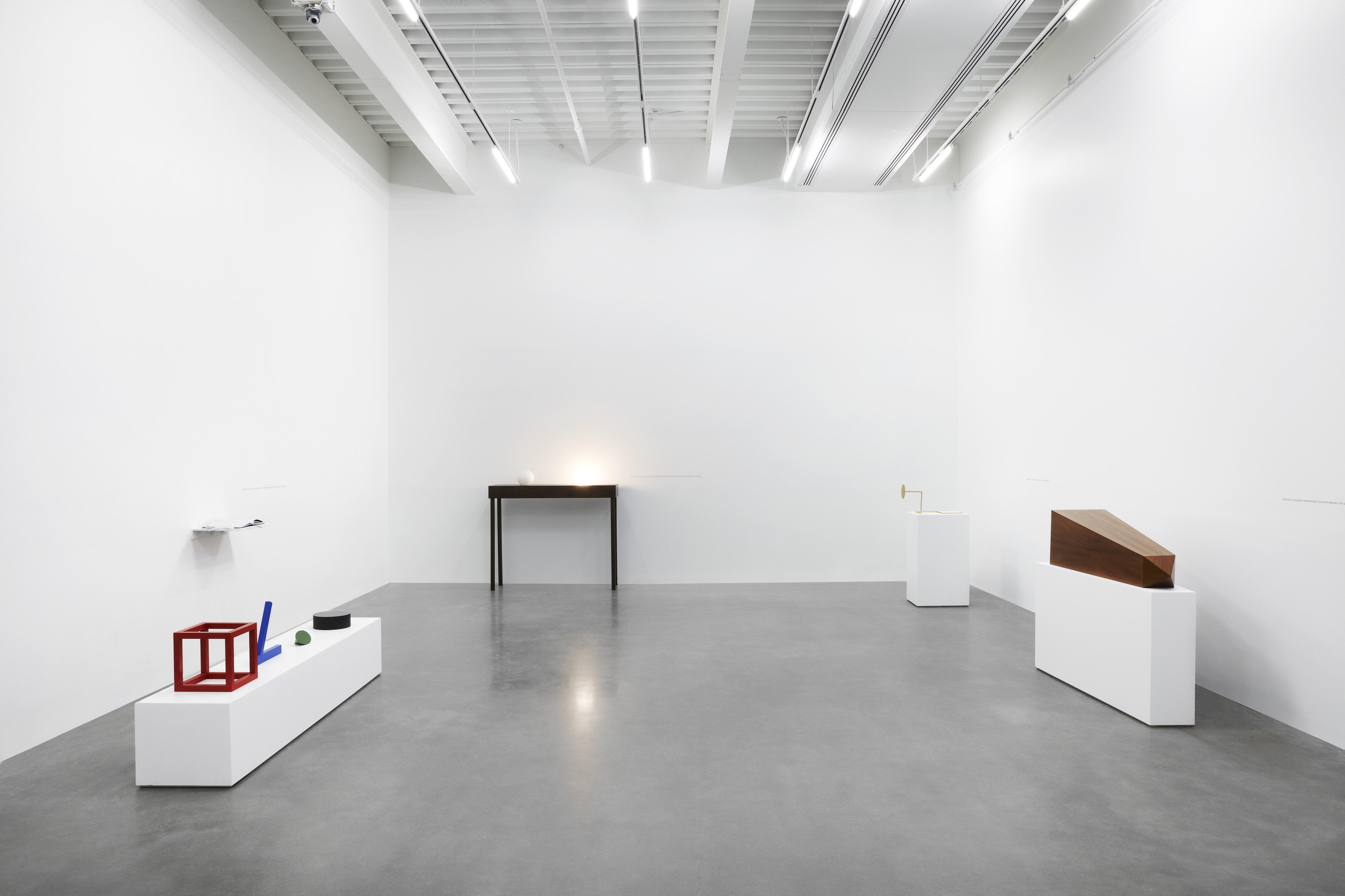 New Museum_triennal_2012_benoit_Pailley