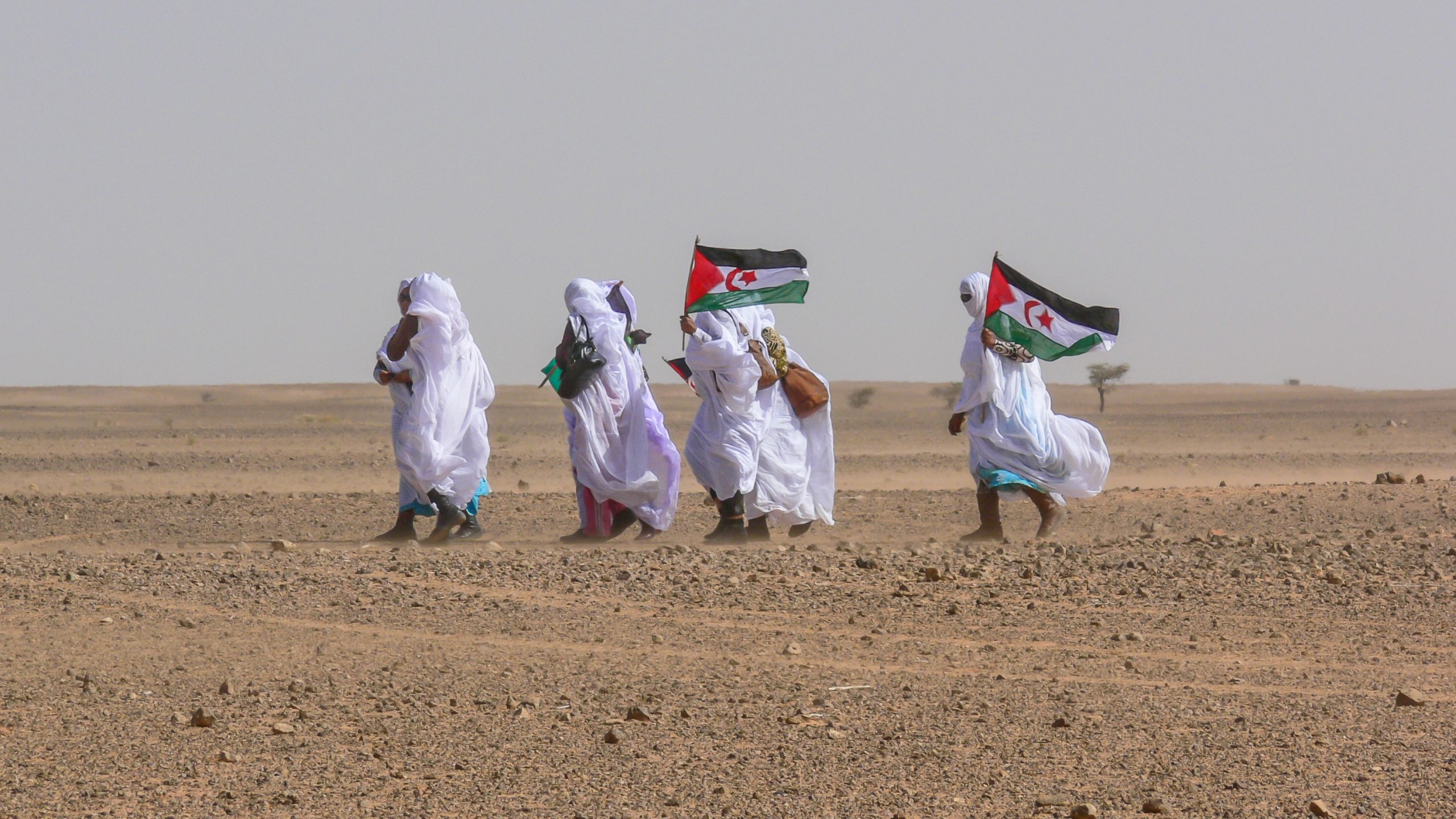Moroccan,Western,Sahara,Wall,,Western,Sahara.,March,,22,,2008.,Demonstration