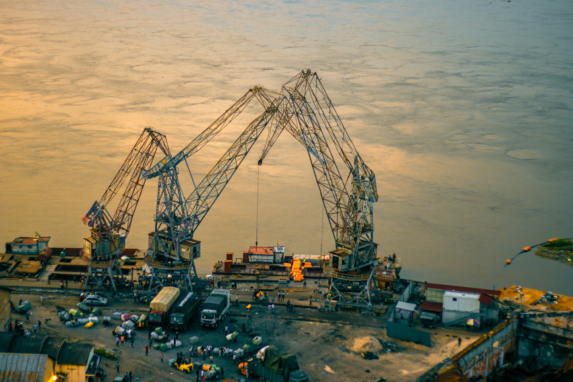 Two cranes on the Congo river at sunset.