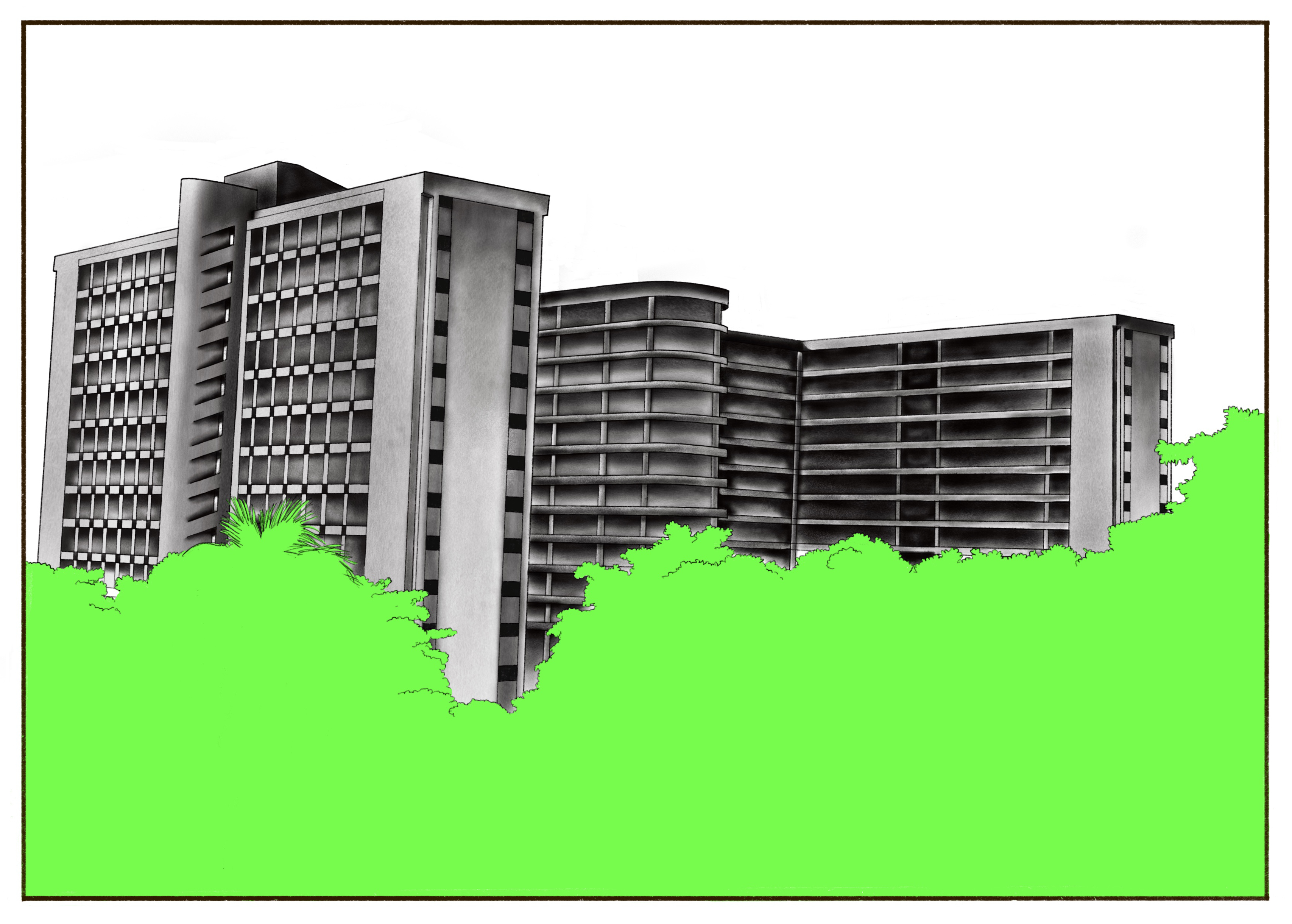 Illustration of the abandoned Ikoyi Federal Secretariat in Lagos, a modernist high-rise complex rising above a dense foreground of bright green tree canopies.