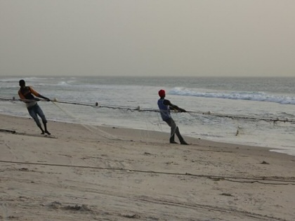 Four fishers pull a long fishing net from the Atlantic onto a sandy beach in Nouakchott at dusk, with gentle waves breaking behind them and the shoreline stretching into the distance.