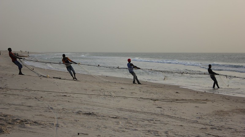 Four fishers pull a long fishing net from the Atlantic onto a sandy beach in Nouakchott at dusk, with gentle waves breaking behind them and the shoreline stretching into the distance.